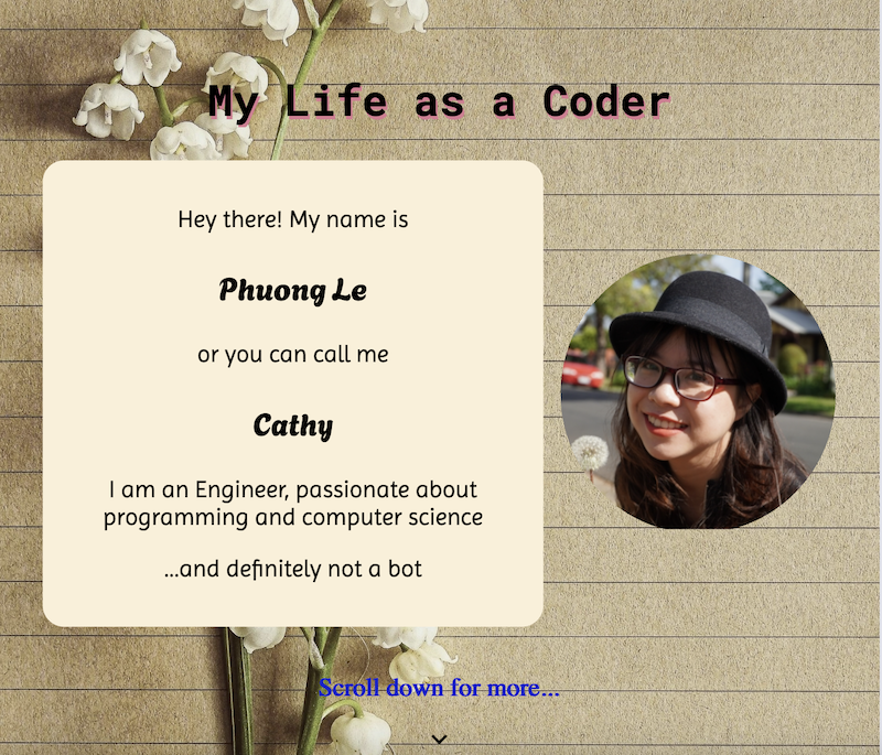 Portlolio Website version 1 image